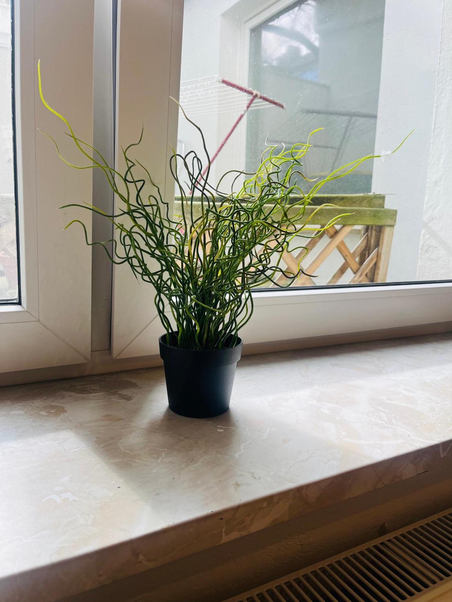 Im Herzen Der Stadt ,naehe Stadion. Appartement